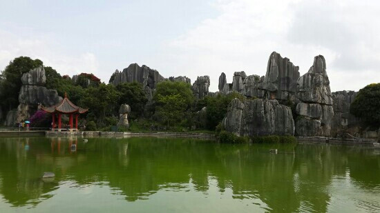 云南石林地质公园景点图片