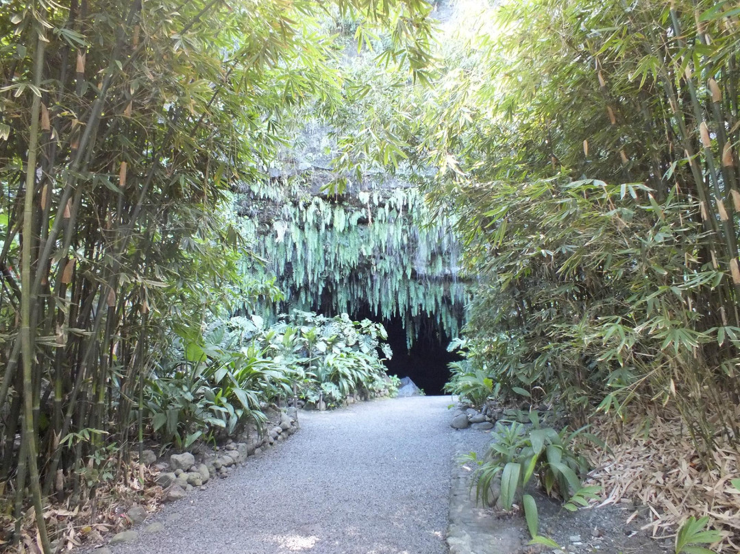 Maraa Grotto-大溪地必去景点