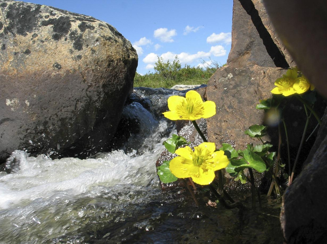 Ounasjoki River-Enontekiö必去景点