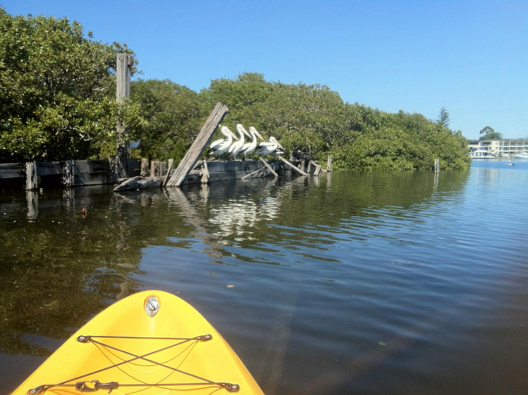 Ezy Kayaks Hawks Nest景点图片