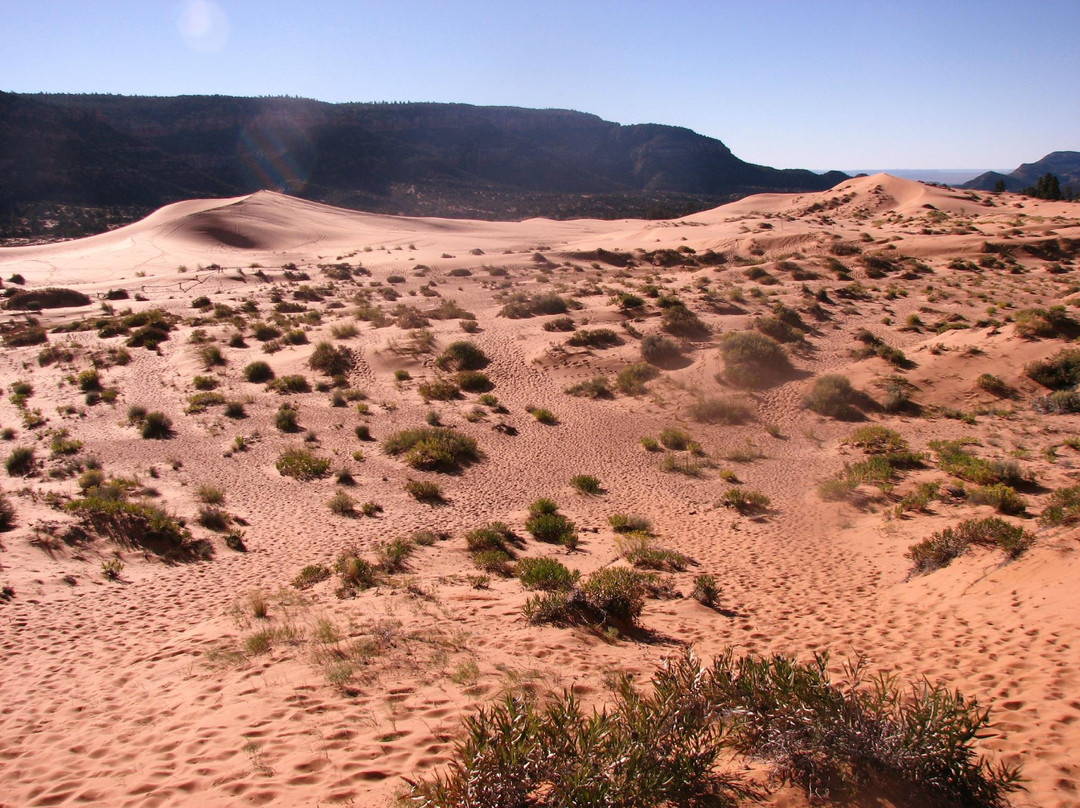 Coral Pink Sand Dunes State Park-卡纳布必去景点