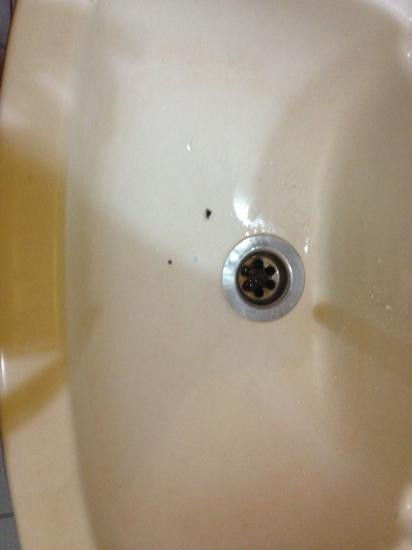 水肺迷潜水店-仙本那必去景点