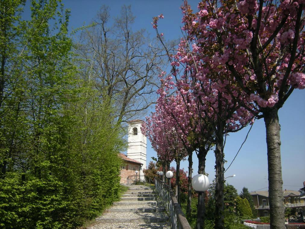 Basilica di San Marcello Montalino景点图片