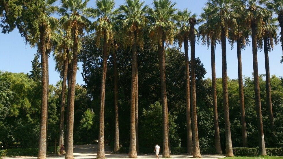 National Garden-雅典必去景点