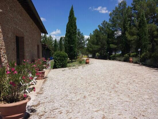 Belvedere Agriturismo主图