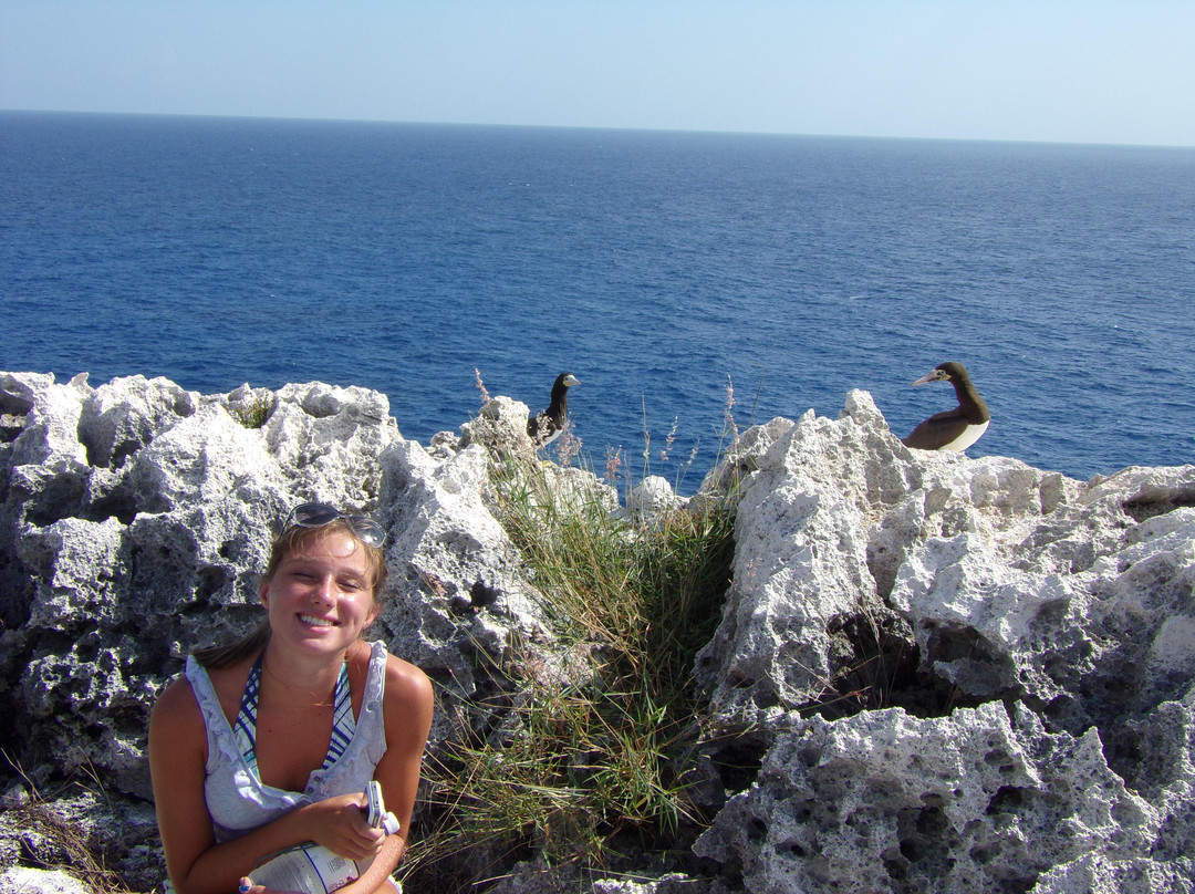 The Bluff-Cayman Brac必去景点