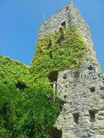 Castello di Romena景点图片