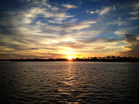 Cruise Orange Beach Dolphin Cruises-橙色海湾必去景点