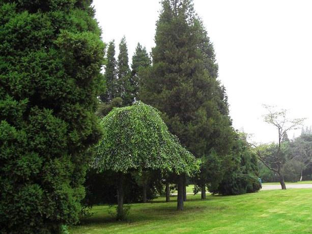 鸭绿江公园-丹东市必去景点