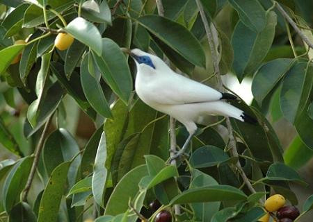 Friends of the National Parks Foundation Wildlife & Conservation Centre-珀尼达岛必去景点