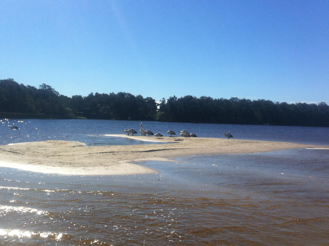 Kanu Kapers Australia Noosa Everglades Kayak Day Tours-努沙必去景点