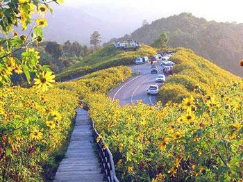 Thai Unique Tour-清迈必去景点