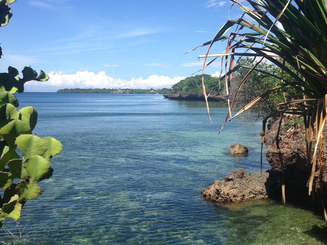 Pilli Pipa Dhow Safari-Shimoni必去景点