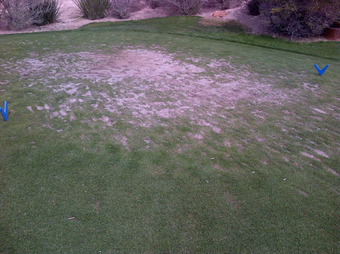 可勒维高尔夫球中心-拉斯维加斯必去景点