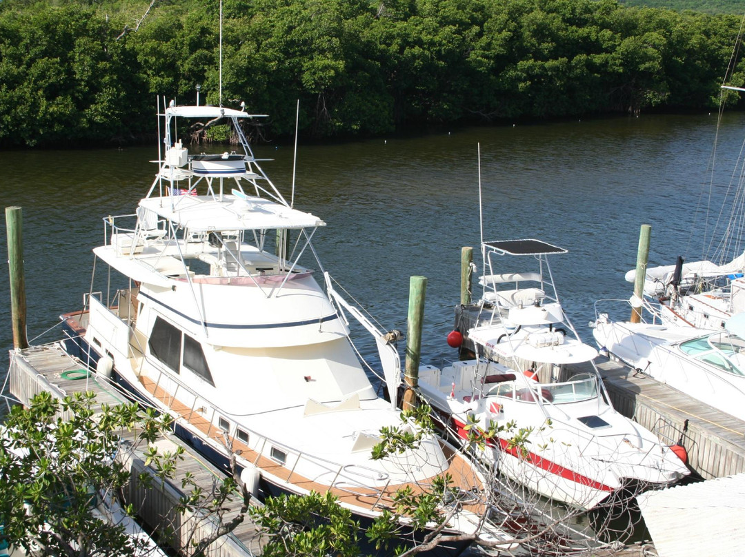 Aqua Marine Dive Center-圣 托马斯必去景点
