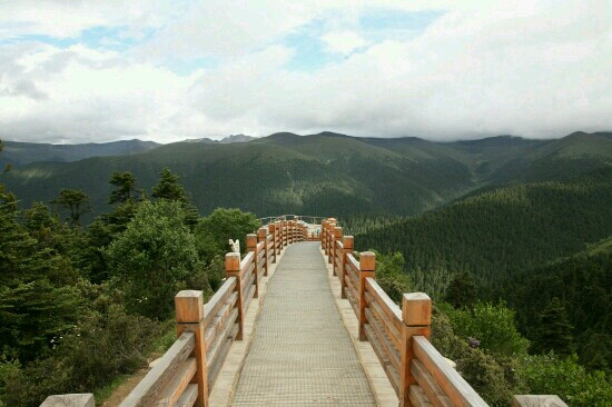 色季拉森林公园-林芝县必去景点