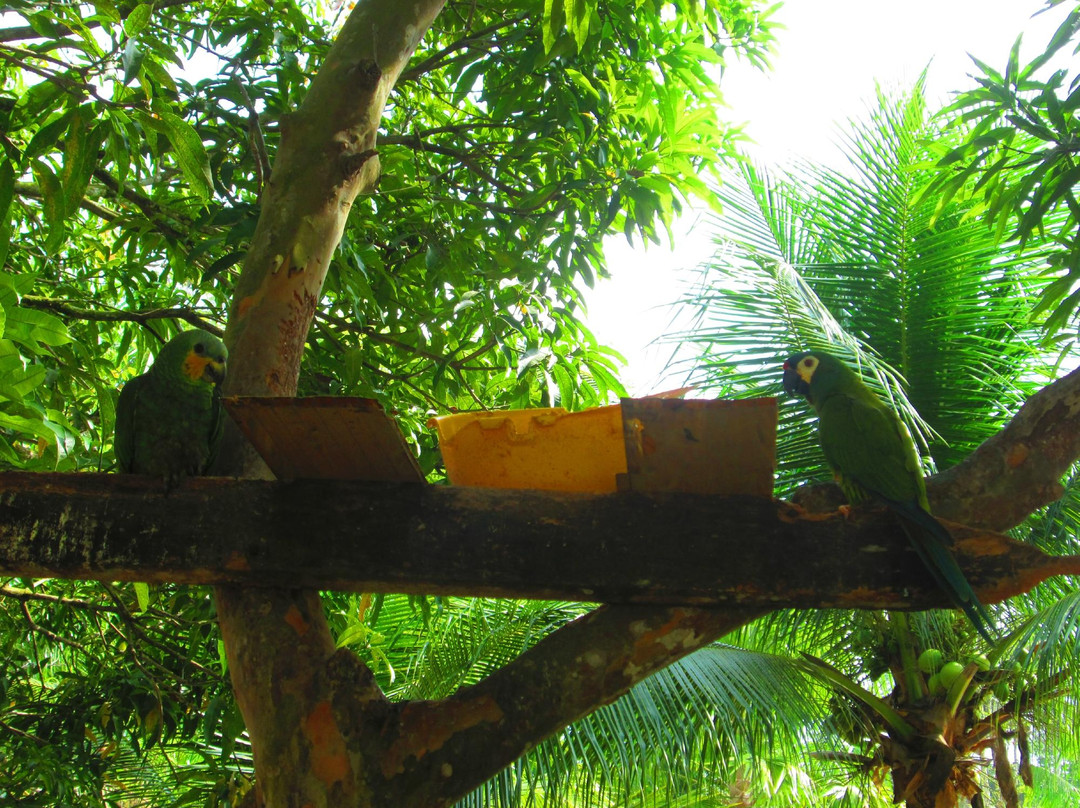 Hotel Jardim Tropical