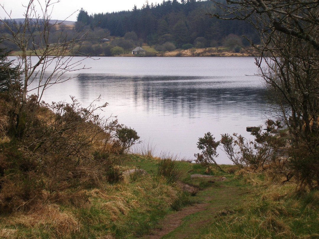 Fernworthy Reservoir景点图片