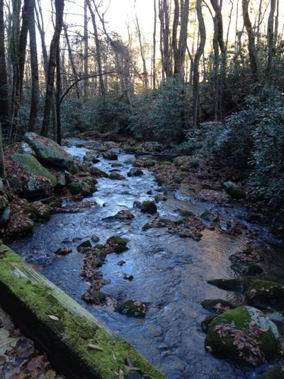 Roaring Fork Motor Nature Trail景点图片