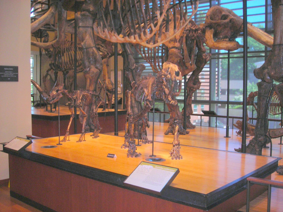 Amherst College Museum of Natural History-艾姆赫斯特必去景点