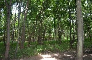 Formby Point-Formby必去景点