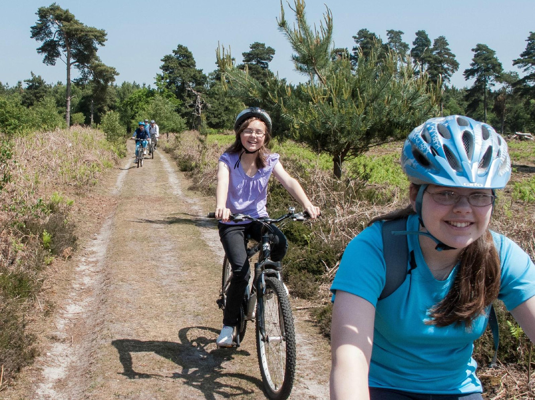 Coolpedals Cycling Holidays景点图片