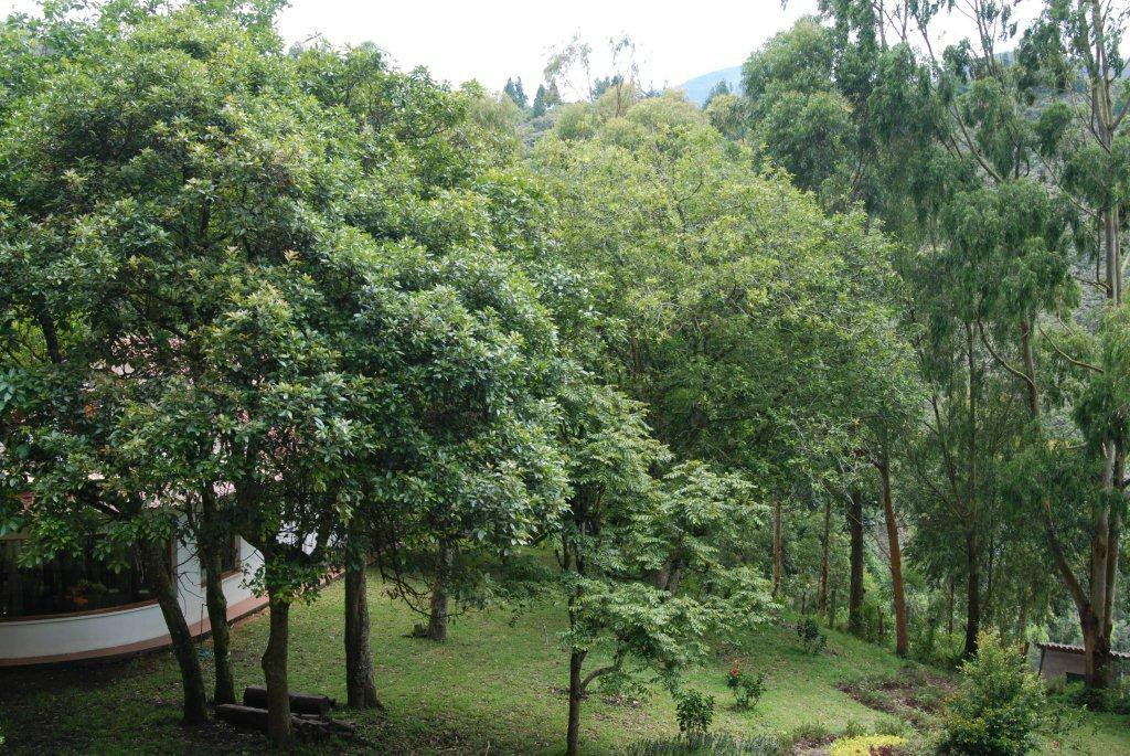 Estancia Dulcelina主图