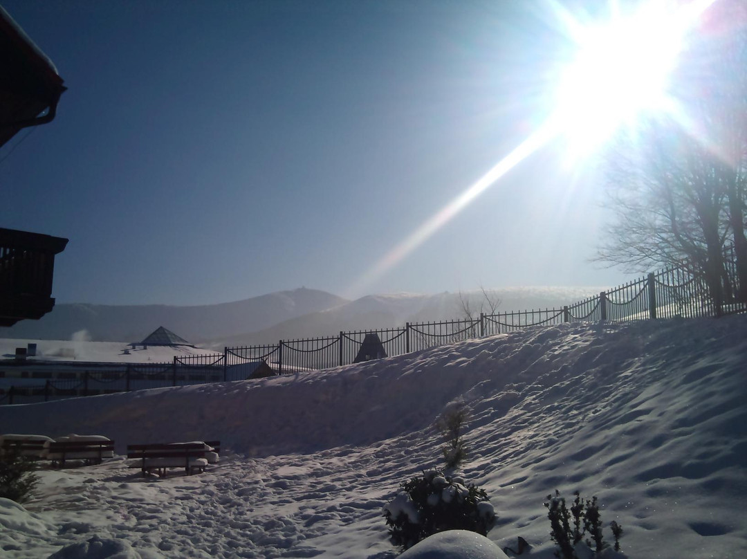 Hotel Belweder主图