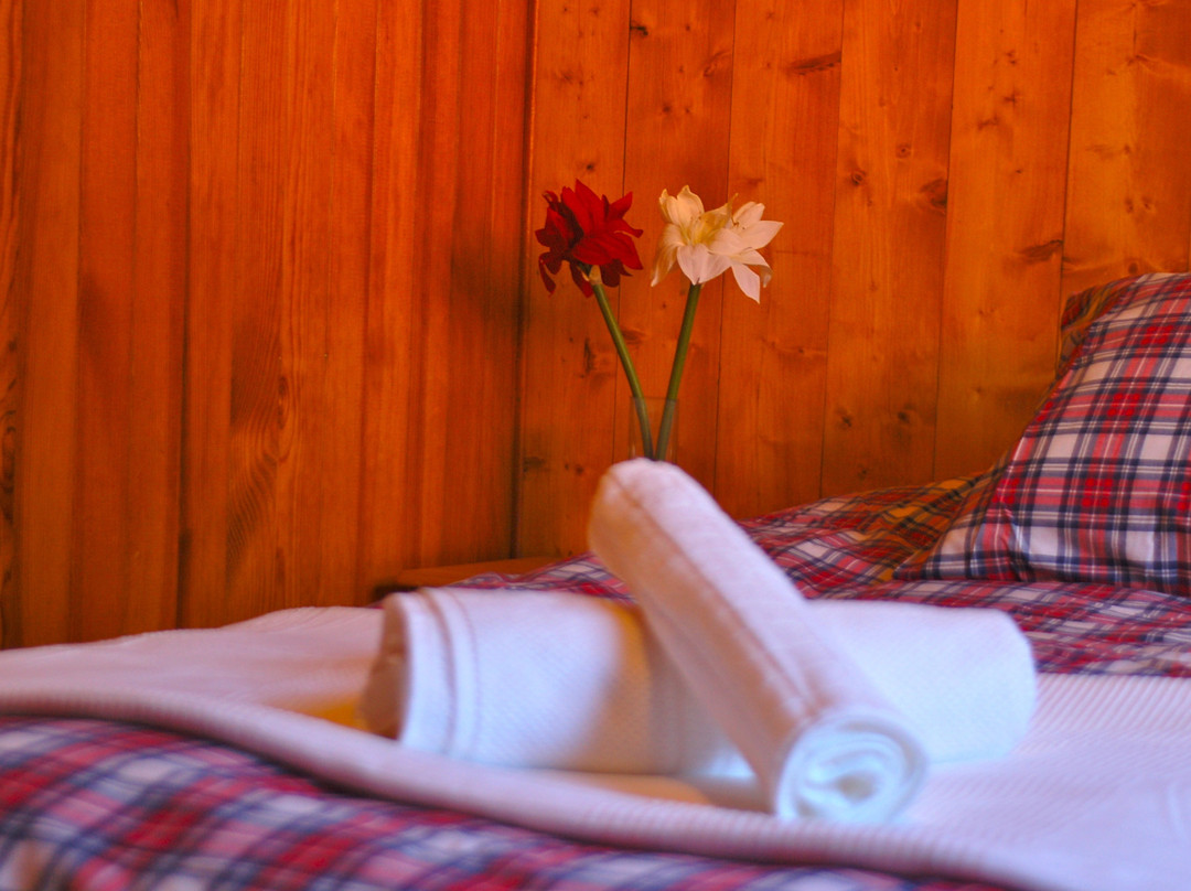 Bluebird Chalets - Chalet Chavants主图