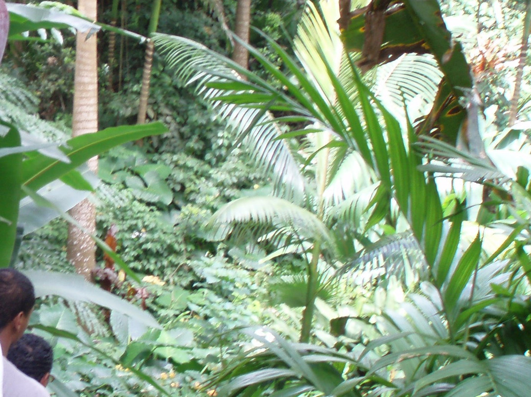 Hunte's Gardens-Saint Joseph Parish必去景点