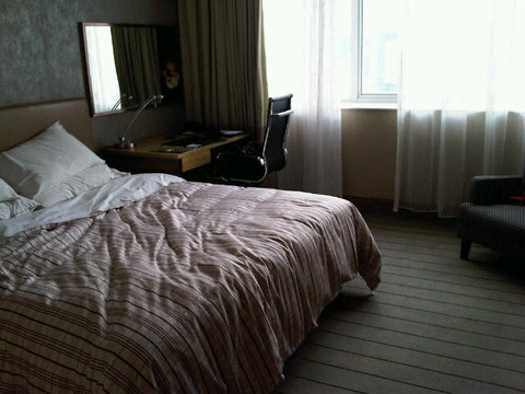 上海大宁福朋喜来登酒店主图