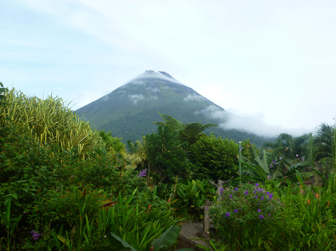 Costa Rican Trails - Day Tours-圣何塞必去景点