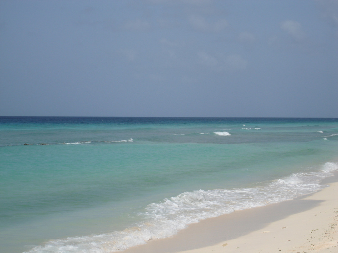 卡约德阿瓜-洛斯罗克斯国家公园必去景点