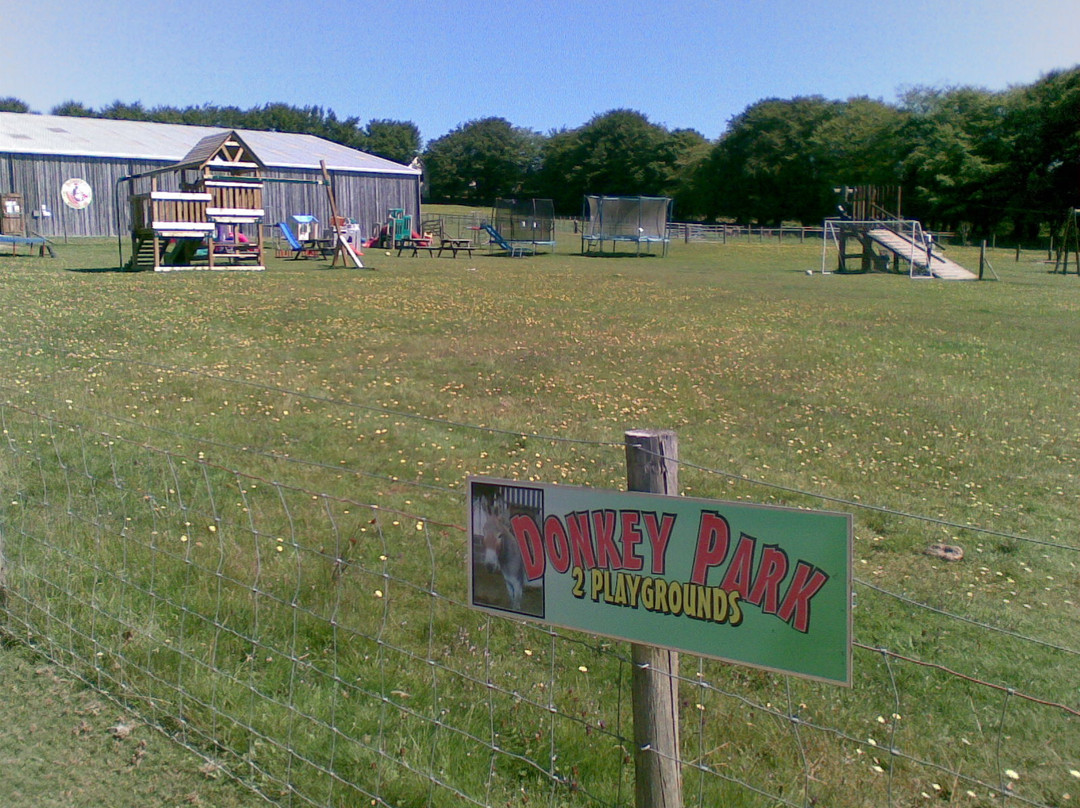 Tamar Valley Donkey Park景点图片