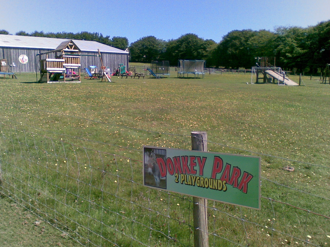 Tamar Valley Donkey Park-Gunnislake必去景点