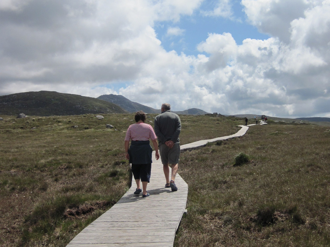 Connemara National Park & Visitor Centre景点图片
