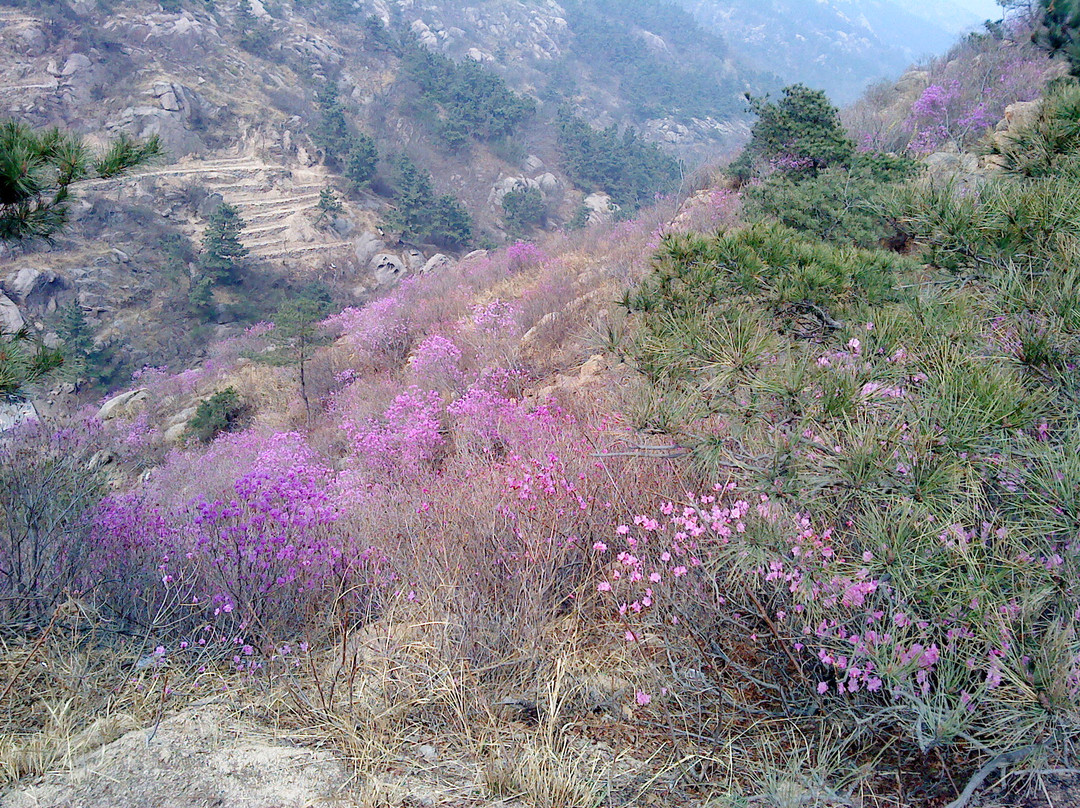 胶南大珠山-胶南市必去景点