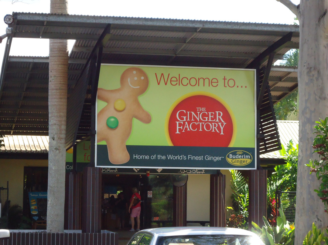 The Ginger Factory景点图片