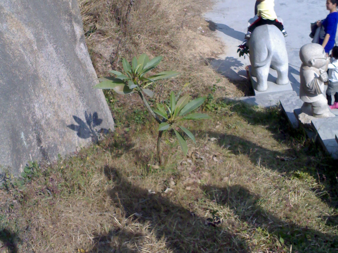 潮州东山湖温泉度假村-潮安县必去景点