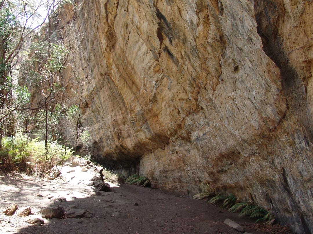 Blackfellows Hand Cave-利特高必去景点