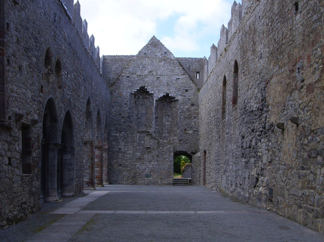 Ardfert Cathedral景点图片