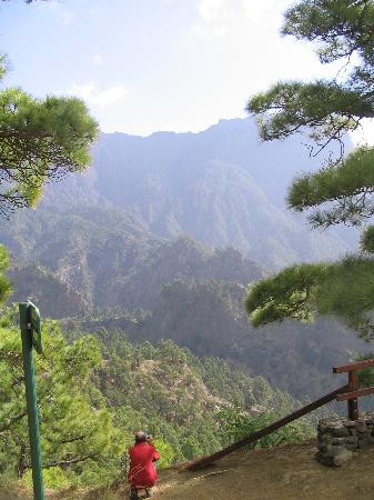 Caldera de Taburiente景点图片