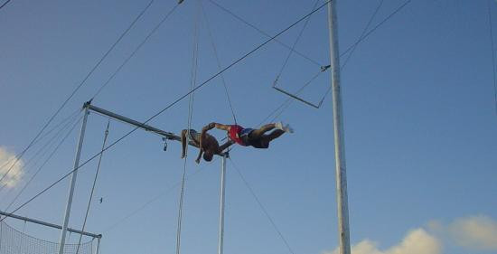 海豚表演-弗里波特必去景点