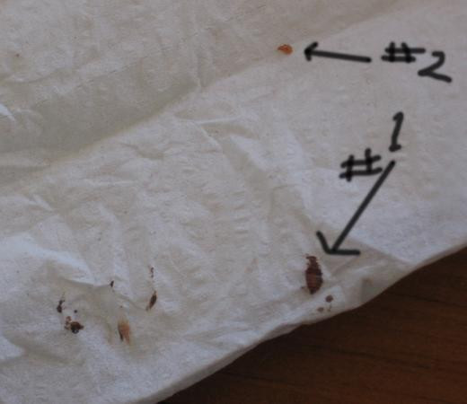 International Motel主图