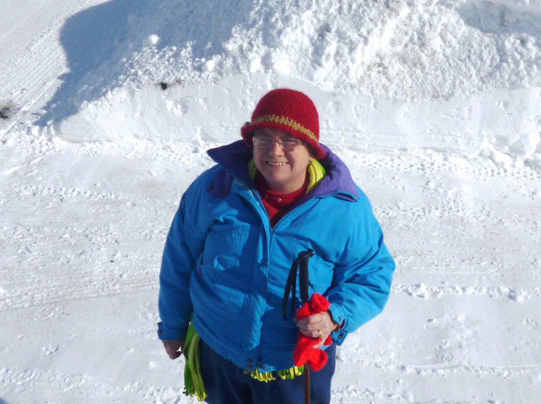 Twilight Walking Tours-特拉弗斯城必去景点