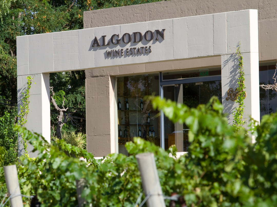 Algodon Winery-圣拉斐尔必去景点