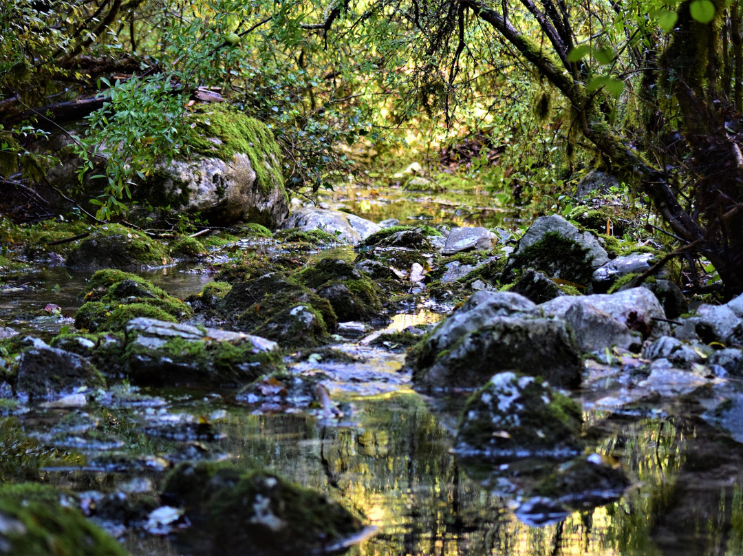 Adventure Club K4-Tivat Municipality必去景点