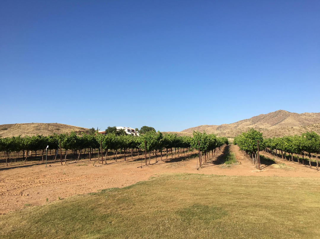 Willcox餐馆和美食-Tapas at Coronado Vineyards