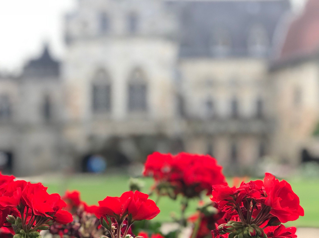 Bad Bentheim Touren-Bad Bentheim必去景点
