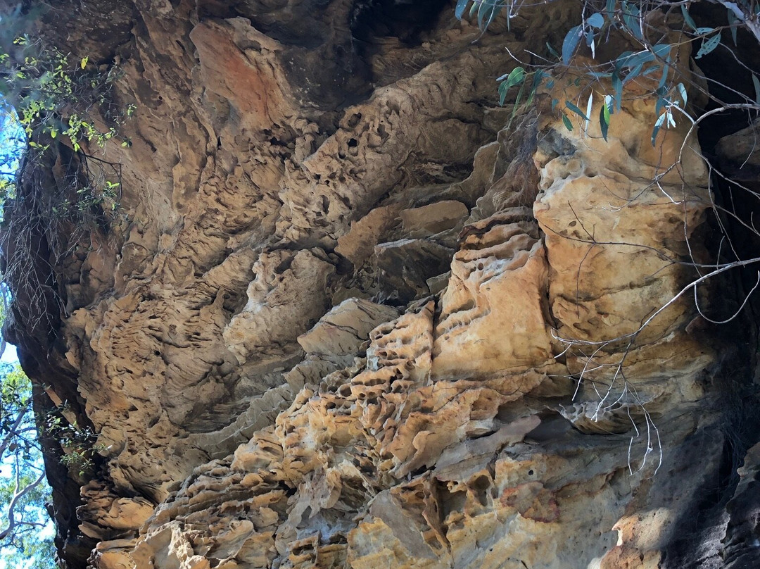 Rickard Road Fire Trail景点图片